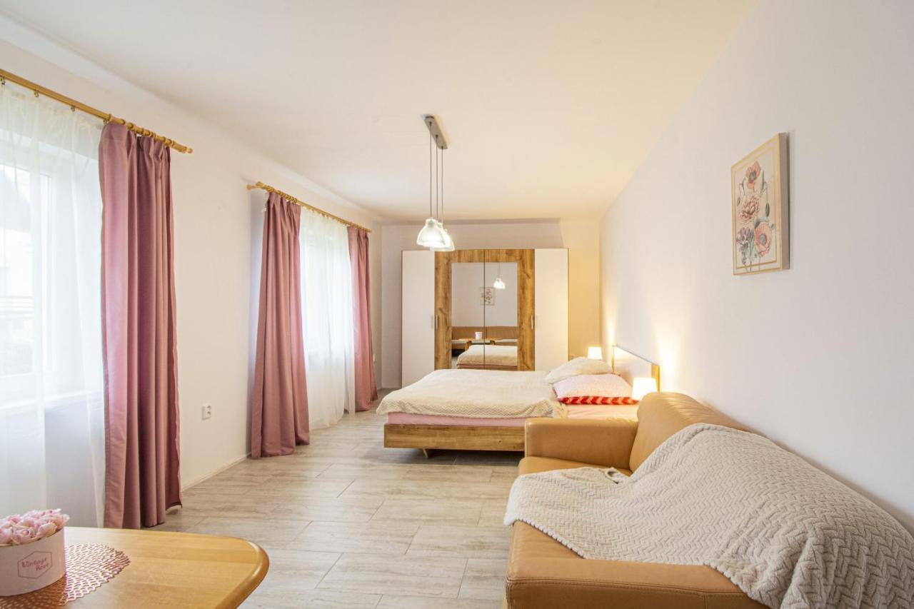 Velky Apartman Zlamanka Kroměříž エクステリア 写真